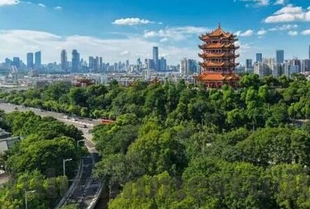 91麻豆免费在线视频-洞见视觉艺术，91麻豆视频在文化与传播中的新视角
